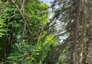 Soproni Erzsébet Oktató Kórház és Rehabilitációs Intézet - Balfi Gyógyfürdőkórház Sopron