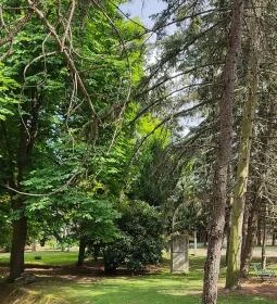 Soproni Erzsébet Oktató Kórház és Rehabilitációs Intézet - Balfi Gyógyfürdőkórház