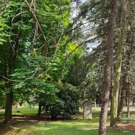 Soproni Erzsébet Oktató Kórház és Rehabilitációs Intézet - Balfi Gyógyfürdőkórház Sopron - Egyéb