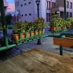 Speed Pizza Burger Palacsinta Békéscsaba - Egyéb