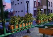 Speed Pizza Burger Palacsinta Békéscsaba