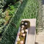 Stühmer Mintabolt & Cukrászda Maklár - Egyéb