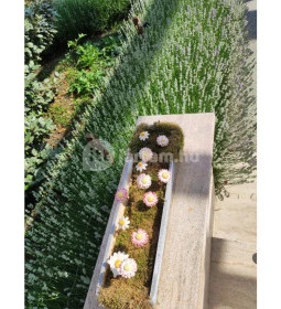 Stühmer Mintabolt & Cukrászda