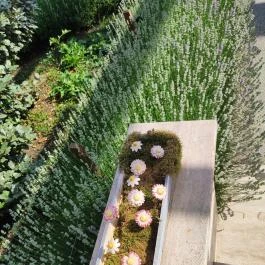 Stühmer Mintabolt & Cukrászda, Maklár - Egyéb