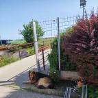 Stühmer Mintabolt & Cukrászda Maklár - Egyéb