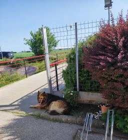 Stühmer Mintabolt & Cukrászda