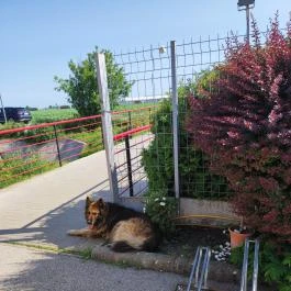 Stühmer Mintabolt & Cukrászda, Maklár - Egyéb