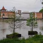 Szarvasi mocsárciprusok Szarvas - Egyéb