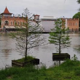 Szarvasi mocsárciprusok, Szarvas - Egyéb