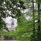 Szarvasi mocsárciprusok Szarvas - Egyéb