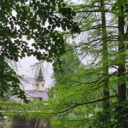 Szarvasi mocsárciprusok, Szarvas - Egyéb