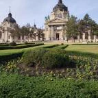 Széchenyi Gyógyfürdő és Uszoda Budapest - Egyéb