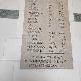 Széchenyi Gyógyfürdő és Uszoda Budapest - Egyéb