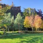 Széllkapu Park Budapest - Egyéb