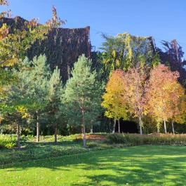 Széllkapu Park Budapest - Egyéb
