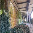 Széllkapu Park Budapest - Egyéb