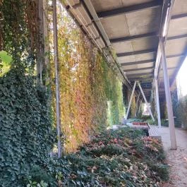 Széllkapu Park Budapest - Egyéb