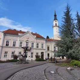 Szent Mihály arkangyal Veszprém - Egyéb