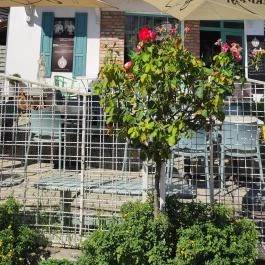 Szó Ami Szó, Balatonkenese - Egyéb