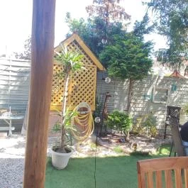 Szó Ami Szó, Balatonkenese - Egyéb