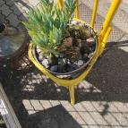 Szó Ami Szó Balatonkenese - Egyéb