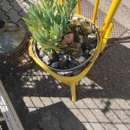 Szó Ami Szó, Balatonkenese - Egyéb