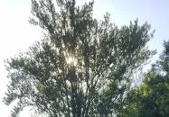 Tómalom Fürdő Sopron