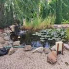 Tópart Vendéglő Mezőberény - Egyéb