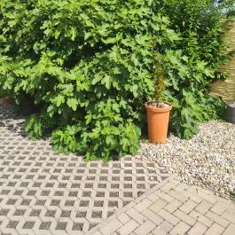 Toscana Apartman Gyula - Egyéb