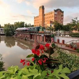 Turisztikai Főpályaudvar, Békéscsaba - Egyéb