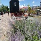 Turisztikai Főpályaudvar Békéscsaba - Egyéb