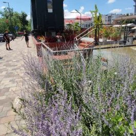 Turisztikai Főpályaudvar, Békéscsaba - Egyéb