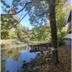 Veszely Csárda Békéscsaba - Egyéb