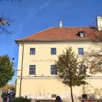 Virágpiac Győr - Egyéb