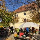 Virágpiac Győr - Egyéb