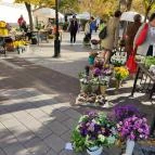 Virágpiac Győr - Egyéb