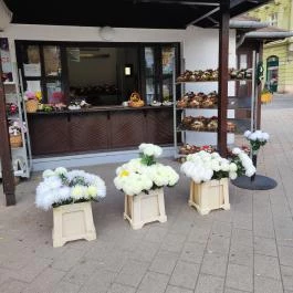 Virágpiac, Győr - Egyéb