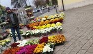 Virágpiac Győr - Egyéb