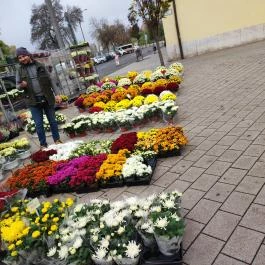 Virágpiac, Győr - Egyéb