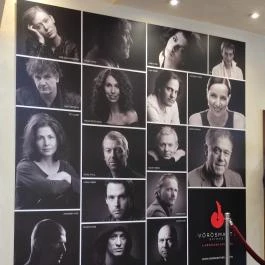 Vörösmarty Színház, Székesfehérvár - Egyéb