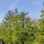 Wellness Hotel Gyula Gyula - Egyéb