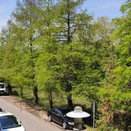 Wellness Hotel Gyula Gyula - Egyéb