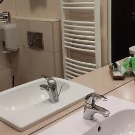 Wellness Hotel Gyula Gyula - Egyéb