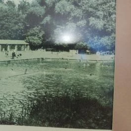 Wellness Hotel Gyula Gyula - Egyéb