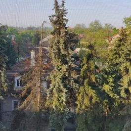 Wellness Hotel Gyula Gyula - Egyéb