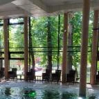 Wellness Hotel Gyula Gyula - Egyéb