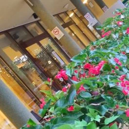 Wellness Hotel Gyula Gyula - Egyéb