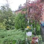 Zsigmond Konyha & Étterem Gyula - Egyéb