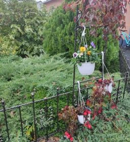 Zsigmond Konyha & Étterem