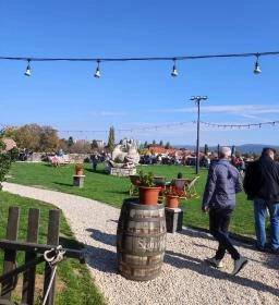 Zsigmond Terasz & Pince